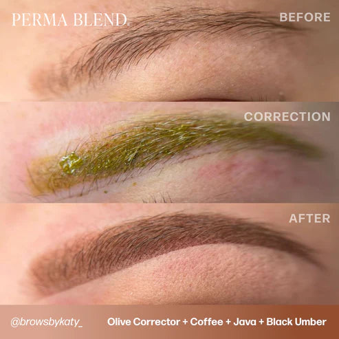 PERMA BLEND Mini Corrector Set
